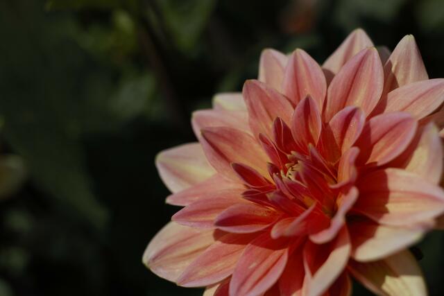 Foto: Sabrina Hirsch  Canon Eos 70D F/3.2 1/5000  Iso 100  B:50mm