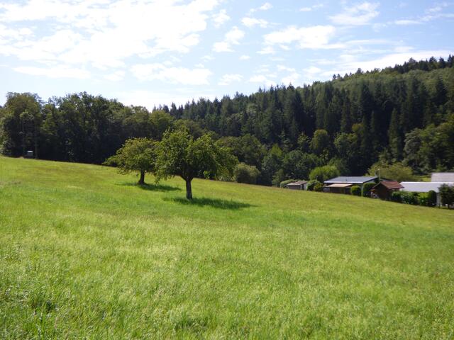 Immer wieder bieten sich schöne Ausblicke über die Wiesen ins Tal.