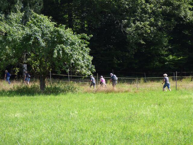 Schnell Richtung Wald und Schatten ………..
