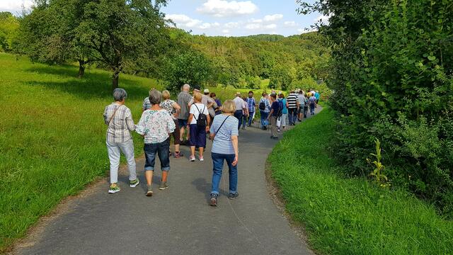 Hinab ins Erlenbachtal