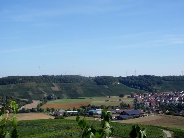 Paraglider über den Weinbergen, rechts Kleingartach