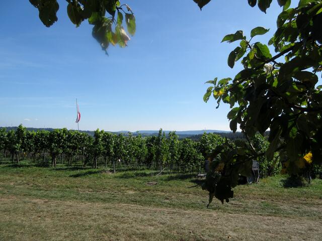 Aussicht Richtung Stromberg