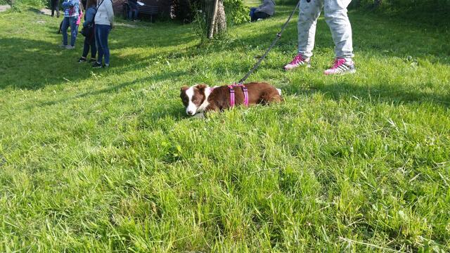 Das ist Leni