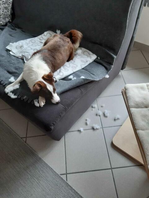 Endlich zerlegt
