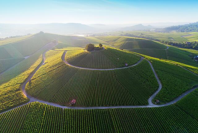 ...und Maximilian Zieglers Stiftsbergblick sind im Kalender. | Foto: Maximilian Ziegler
