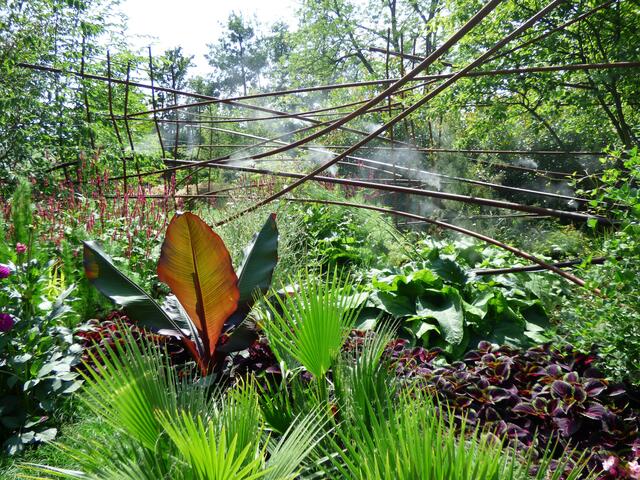 Mancher wird am Stadtdschungel am Innenstadteingang der Buga vorbeigeeilt sein, dabei war er eine Attraktion für sich. Das zeigt das Foto von Sigrid Schlottke deutlich. | Foto: Sigrid Schlottke