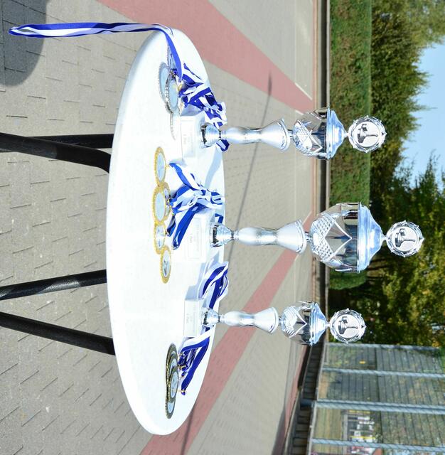 Die Objekte der Begierde.. die Pokale für die ersten drei Mannschaften...