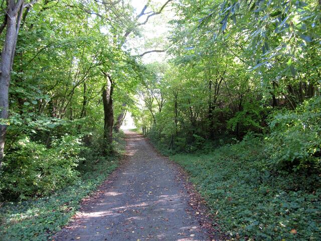 Von Hecken und Bäumen gesäumte Weg und immer wieder Streuobstwiesen machen den Kelternweg sehr abwechslungsreich
