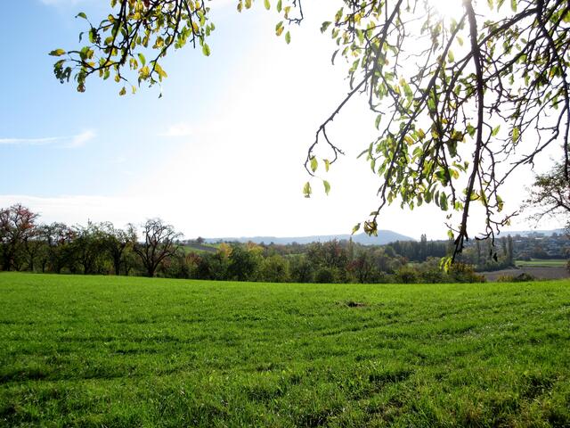 Traumhafte, herbstliche Aussichten