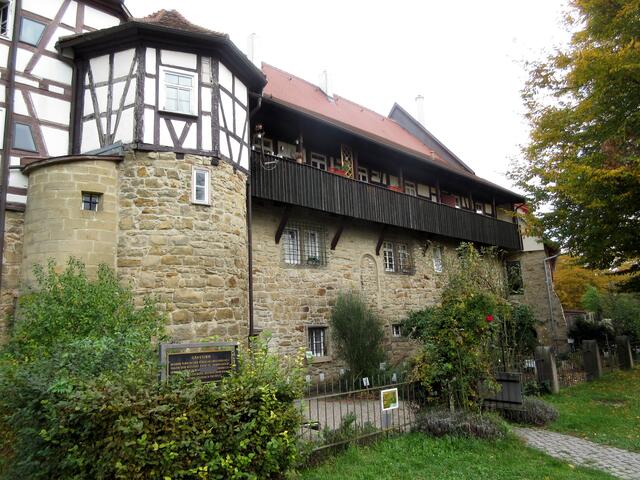Heilkräutergarten an der Stadtmauer