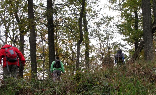 Man muss sich schon etwas anstrengen, wenn man die Märchenplätze im Heilbronner Wald erreichen möchte.