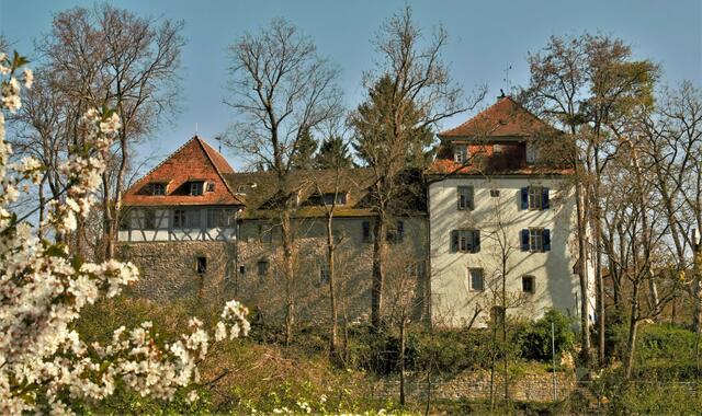 Dieses schöne Foto vom Bautzenschloss in Oedheim hat Heimatreporter Gerhard Hölzel gemacht und auf meine.stimme hochgeladen. | Foto: Gerhard Hölzel