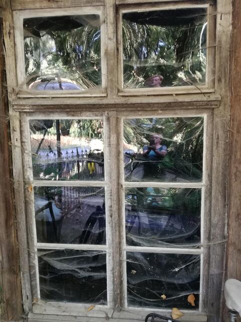 zeitreise bei einer alten Mühle in Eppingen