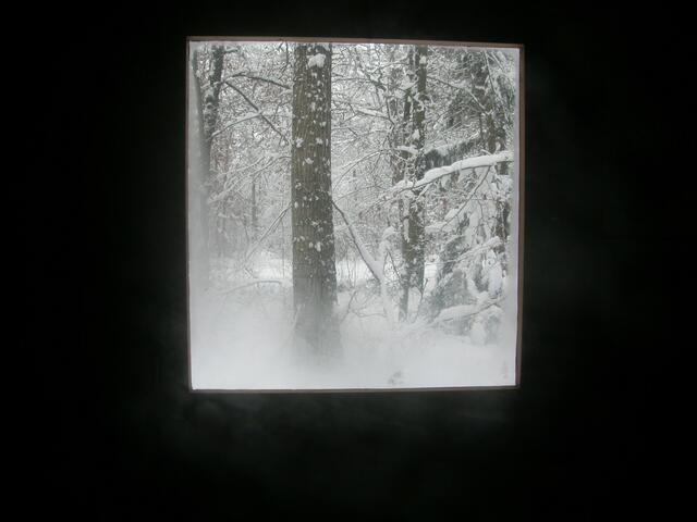 Blick aus einem Jagdhäusle im Winter
