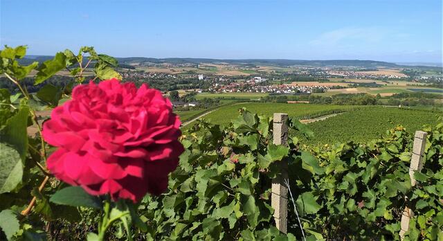 Diesen schönen Ausblick über Adolzfurt - Hälden hatte Heimatreporter Heinz Lindheimer. Welche schönen Fotos haben Sie von Bretzfeld, Bitzfeld, Unterheimbach & Co.? | Foto: Heinz Lindheimer