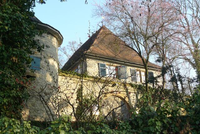 Oedheimer Bautzenschloss noch im Dornröschenschlaf