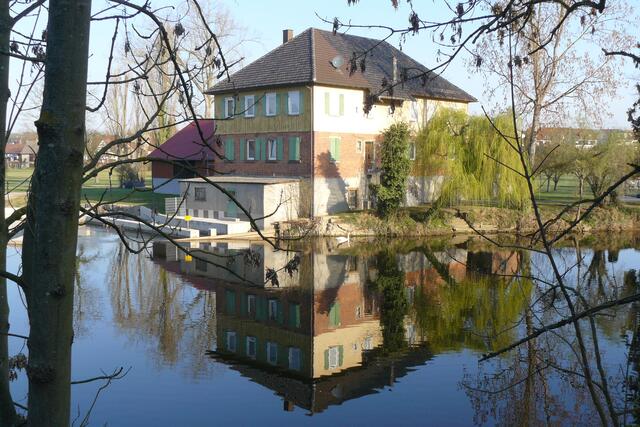 Sich im Kocher spiegelnde Kunstmühle in Oedheim bekommt Besuch von Frau Schwan