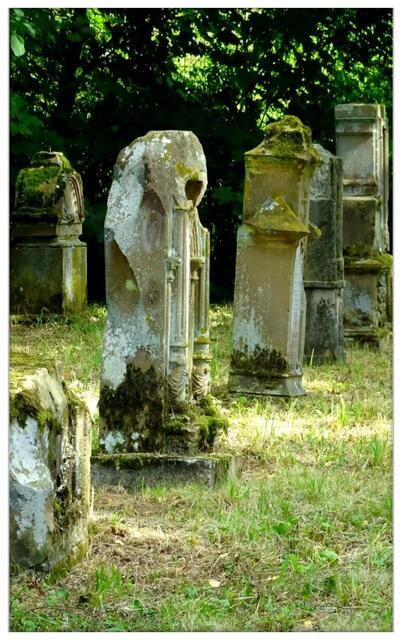 SPD Gedenktag zum 9.November am Jüdischen Friedhof in Oedheim
