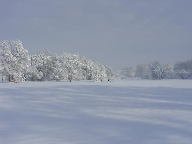 Wiesental bei Schnee