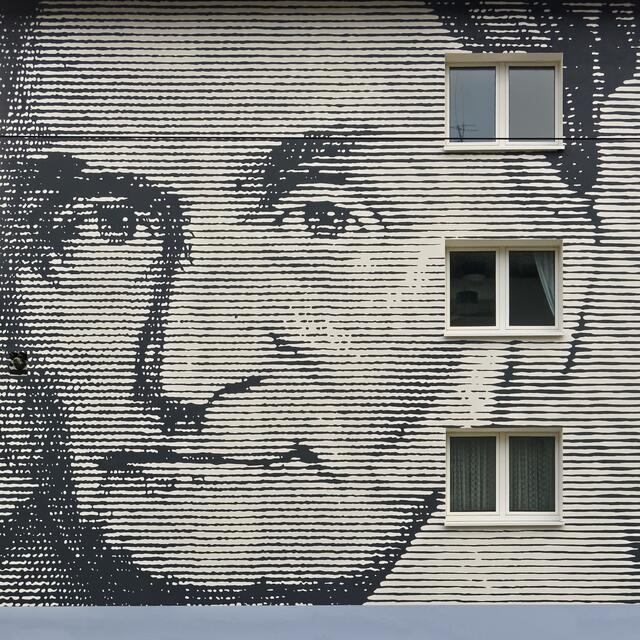 Carl Friedrich Gauß - ja, der vom letzten 10 DM-Schein, den man schon in Mathe nicht verstanden hatte ;-)