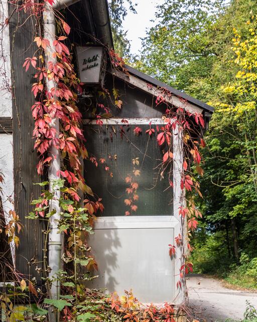 Waldschenke im Köpfertal