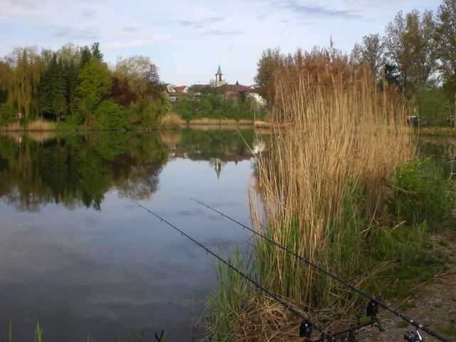 Blick vom großen Hirschfeldsee im Sperrfechter Freizeitpark auf Hagenbach