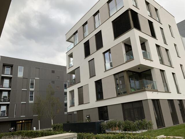 Fensterschau auf der BUGA 2019