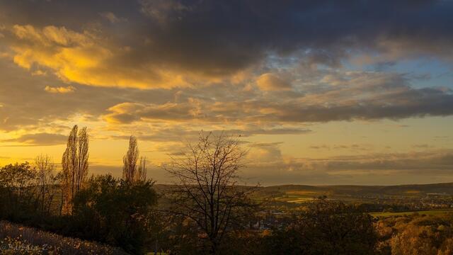 Abendspazierung im Adolzfurter Weinberg