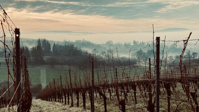 Dezember 2019: "Grantschen: Die Natur hat ein Aquarell gemalt" von Heimatreporterin Moni Bordt | Foto: Moni Bordt