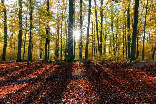 November 2019: "Die Schatten werden länger" von Heimatreporterin Uschi Pohl | Foto: Uschi Pohl