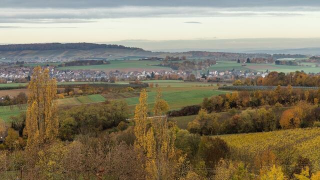 Vom Weinberg Richtung Scheppach/Adolzfurt