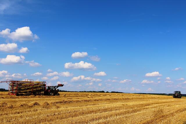 August 2019: "Sonntagnachmittag bei Bitzfeld" von Heimatreporter Tassilo Höllmann | Foto: Tassilo Höllmann