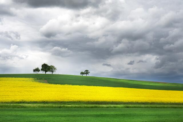 Mai 2019: "Aprilwetter im Wonnemonat Mai" von Heimatreporter Rüdiger Reingräber | Foto: Rüdiger Reingräber