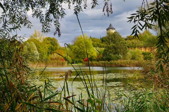 Oktober 2019: "Herbsstimmung am Zieleipark in Böckingen II" von Heimatreporter Ulrich Seidel | Foto: Ulrich Seidel