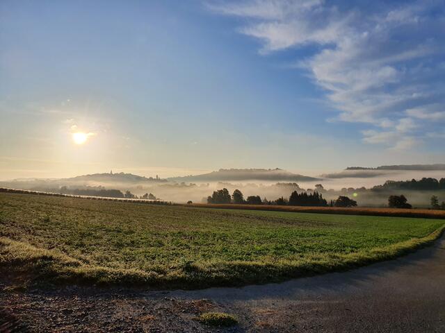 Blick vom Bitzfelder Ortsrand Richtung Golberg und Lindelberg
