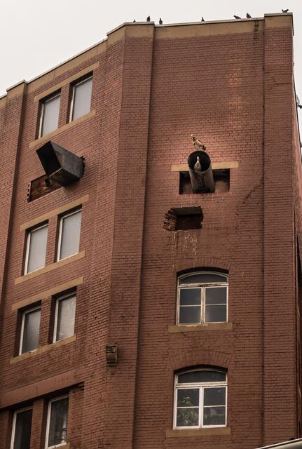 Neue Bewohner im 3. Stock - Gebäude der Firma Rettenmaier / Buga