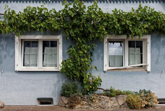 Man möchte klingeln und um einen Hammer bitten :-)