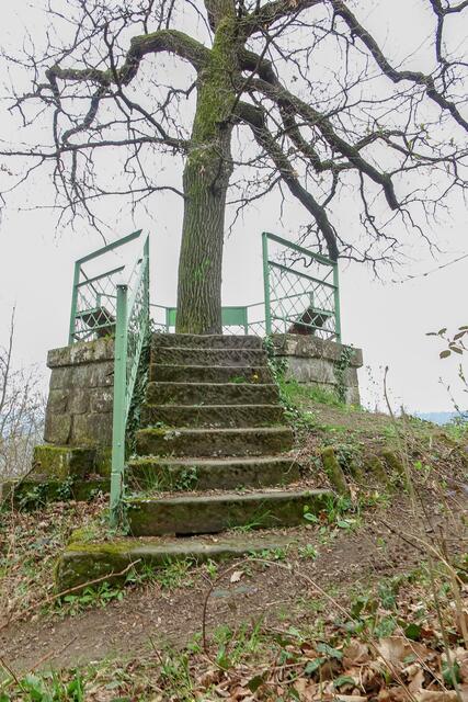 Treppe in Heilbronn zum Aussichtspunkt Lemmpruhe