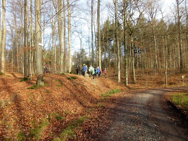 Die Gruppe beim Wolfstein