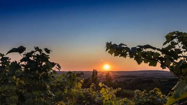 Sonnenuntergang über Scheppach