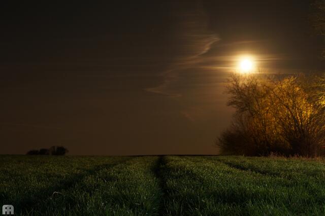 on the Top | Vollmond auf dem Lindelberg Bretzfeld