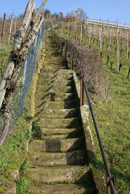 ... wer wohl schon die "Stäffele" am Scheuerberg in Neckarsulm benutzt hat?