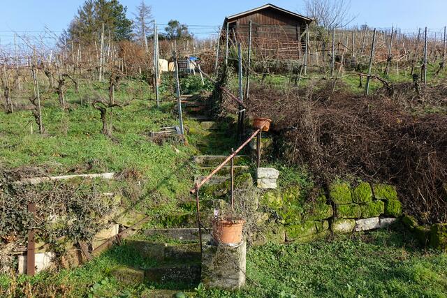 ... Treppe zu einem Wengertshäusle am Scheuerberg Neckarsulm