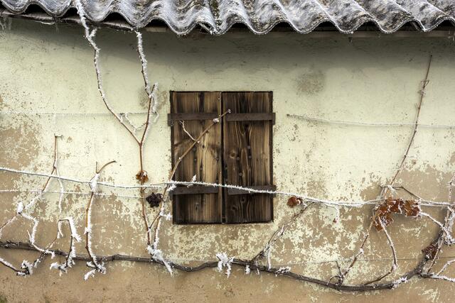 Fenster einer Weinberghütte bei Frost