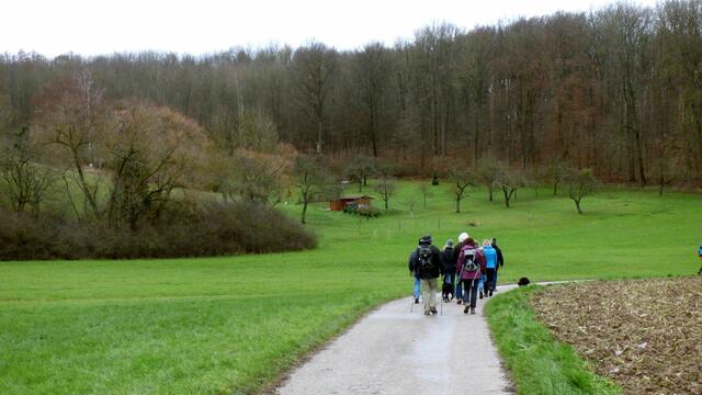 Entlang von Streuobstwiesen und Ackerland bevor die  Wanderer den dornet-Wald erreichen. | Foto: Kurt Nakielny