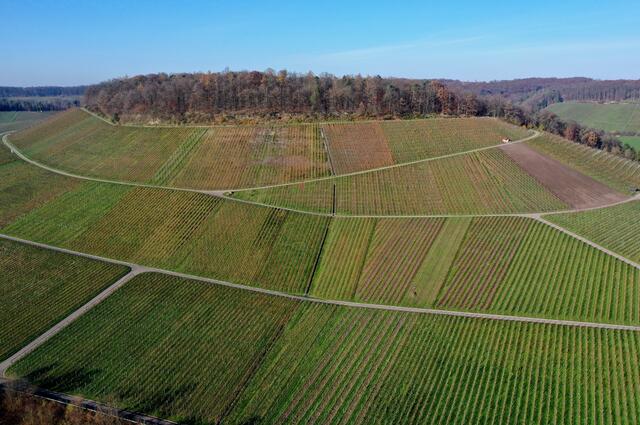 Dezberg Gellmersbach