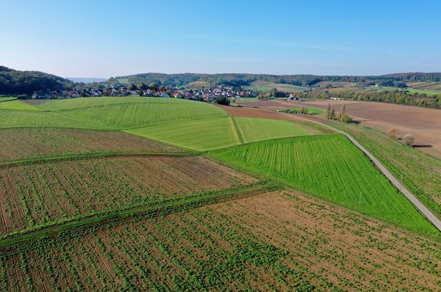 Dimbach