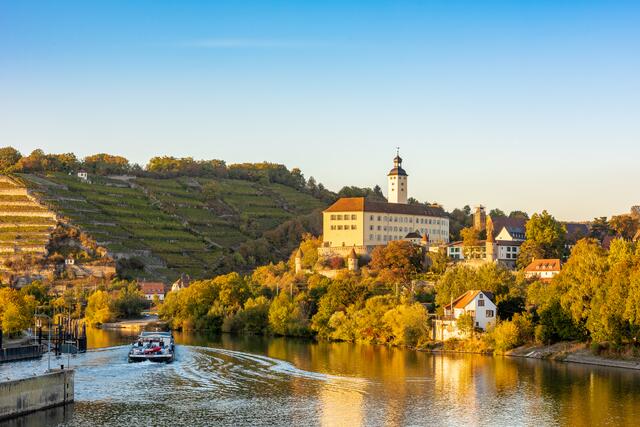 Gundelsheim im goldenen Sonnenlicht: Dieses tolle Foto von Gundelsheim hat Heimatreporter Marcel Tschamke gemacht. | Foto: Marcel Tschamke