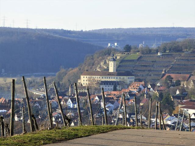 Aus den Höhen hinunter ins Tal in das hübsche Städtchen Gundelsheim