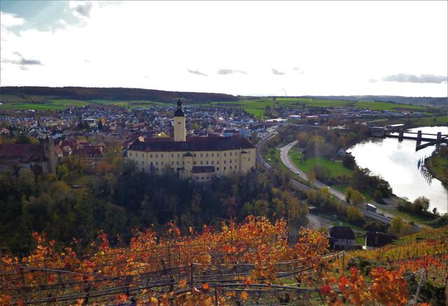 Gundelsheim aus dem "Himmelreich"